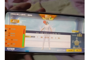 和平精英白歌辅助-和平国服全功能防封配置